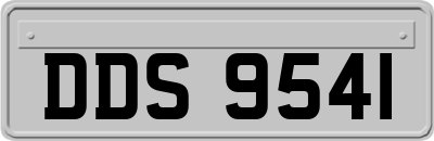 DDS9541