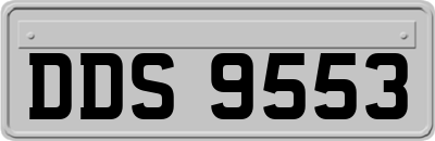 DDS9553