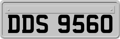 DDS9560