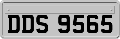 DDS9565