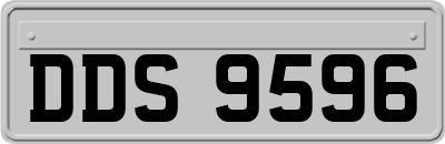 DDS9596
