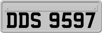 DDS9597