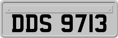 DDS9713