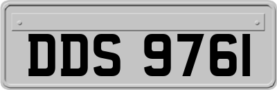 DDS9761