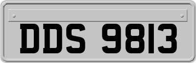 DDS9813