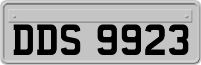 DDS9923