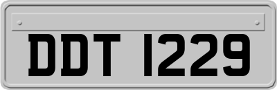 DDT1229