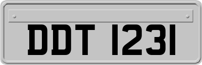 DDT1231