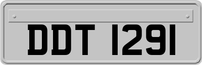 DDT1291