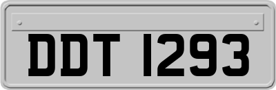DDT1293