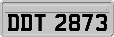 DDT2873