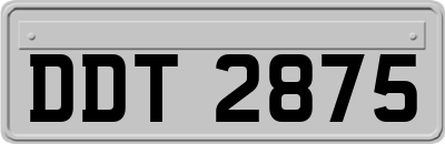 DDT2875