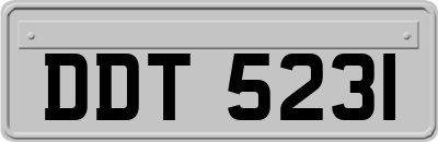DDT5231