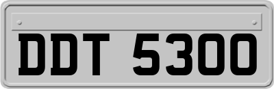 DDT5300