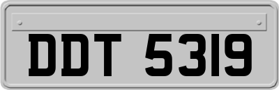 DDT5319
