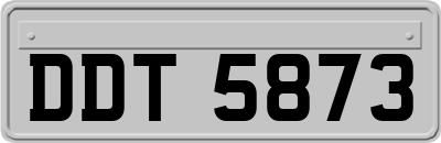DDT5873