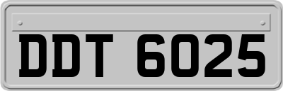 DDT6025