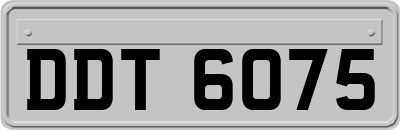 DDT6075