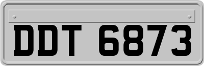 DDT6873