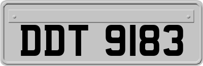 DDT9183