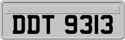 DDT9313