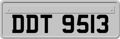 DDT9513