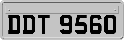 DDT9560