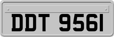DDT9561