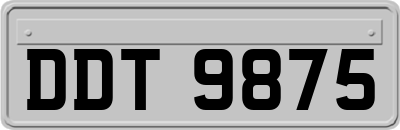 DDT9875