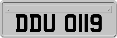 DDU0119