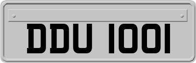 DDU1001