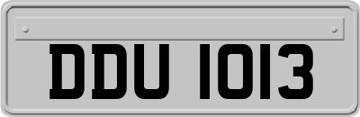 DDU1013