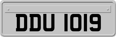 DDU1019