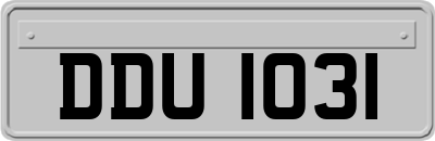 DDU1031