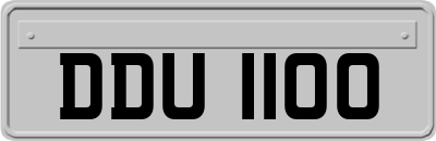 DDU1100