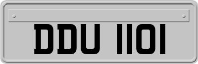 DDU1101