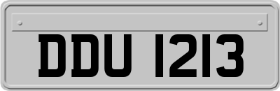 DDU1213