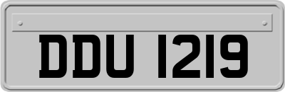 DDU1219