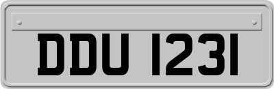 DDU1231