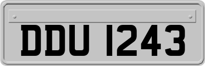 DDU1243