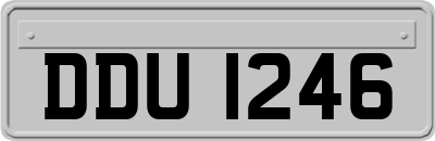 DDU1246