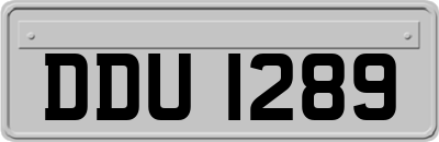 DDU1289