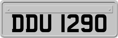 DDU1290