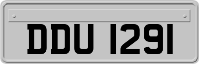 DDU1291