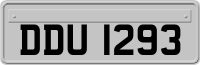 DDU1293