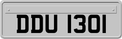DDU1301