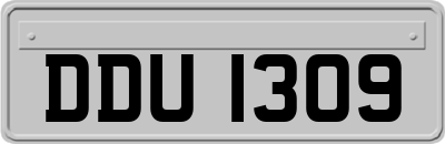 DDU1309