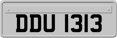 DDU1313
