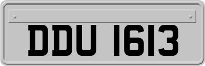 DDU1613