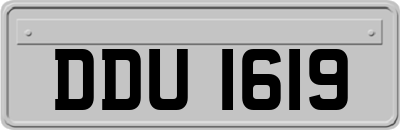 DDU1619